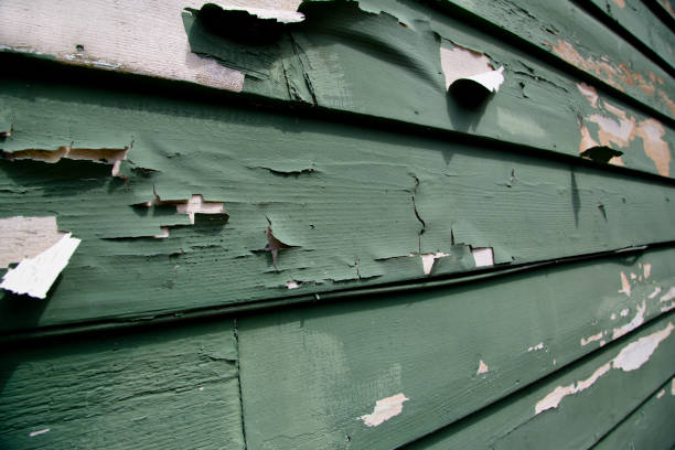 Best Same-Day Junk Removal Services  in Macon, MO
