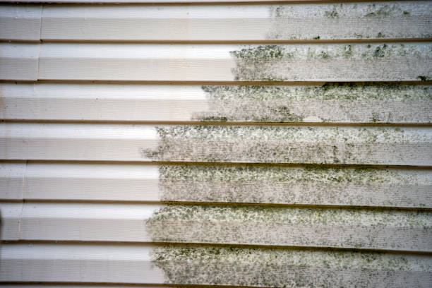 Best Shed Removal  in Macon, MO